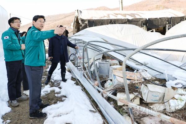 [크기변환]8-2. 이상일 용인특례시장이 12월 4일 처인구 폭설피해 농장을 방문해 피해상황을 살피고 대책을 논의하고 있다.jpg