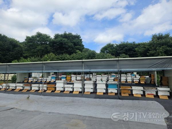 [크기변환]3-1. 용인특례시 양봉 농가 사진.jpg