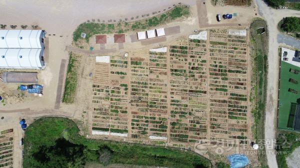 [크기변환]5. 용인특례시 기흥구 고매동에 있는 용인시민농장 전경.jpg
