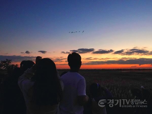 [크기변환]1-2. 생태관광 프로그램(화성습지 탐조야행).jpg