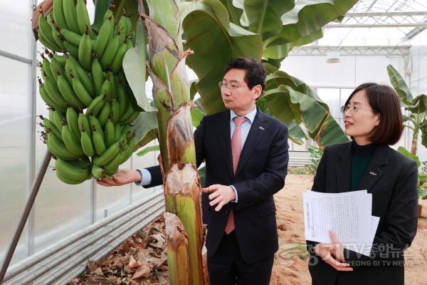 [크기변환]10-3. 이상일 용인특례시장은 12일 농업기술센터의 아열대작물 과학영농시설을 방문했다.jpg