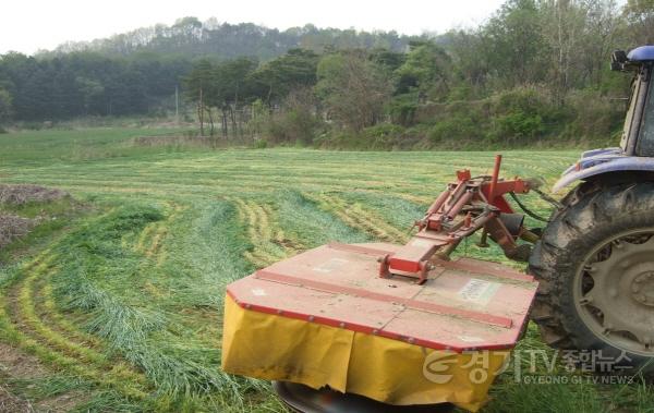 [크기변환]01-여주시, 소 사육농가 생산비 부담 낮춘다2.jpg