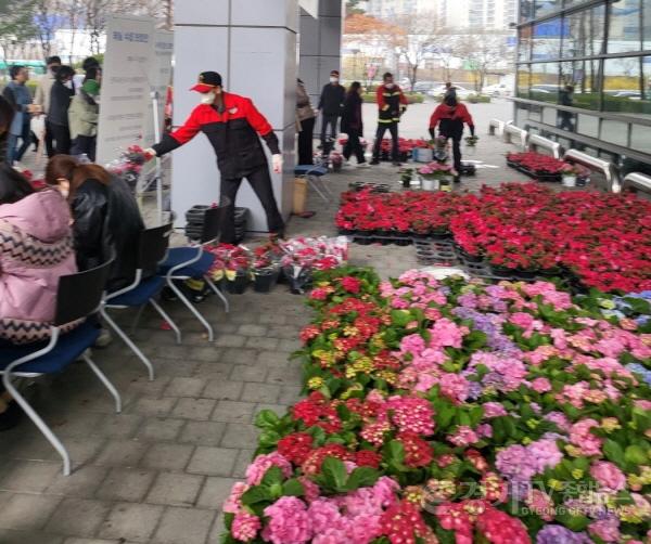 [크기변환]6. 지난해 열린 나무 나누어주기 행사 장면.jpeg