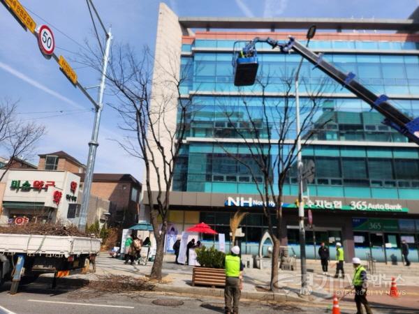 [크기변환]6. 수지구 관계자들이 가로수를 정비하고 있다.jpg
