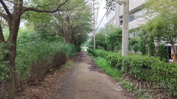 [크기변환]250320 1-1. 용인특례시가 경안천 제방 일대 환경개선 사업을 시작했다..jpg