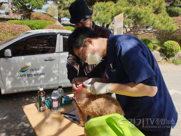 [크기변환]06-여주시, 2025년 춘계 광견병 백신 무료접종 실시.jpg