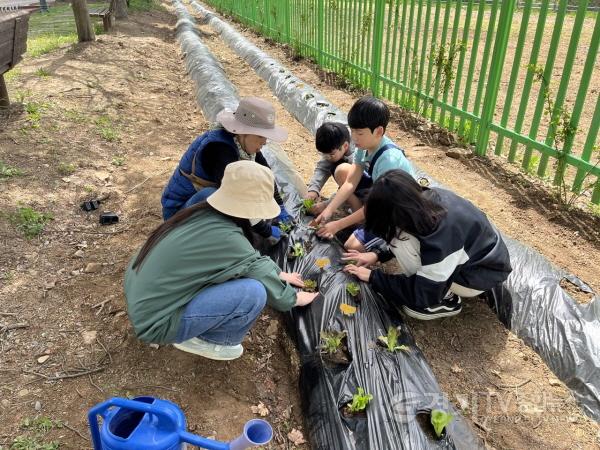 [크기변환]7. 지난해 용인특례시 지역 초등학교에서 진행된 생태텃밭 교육 현장.jpg