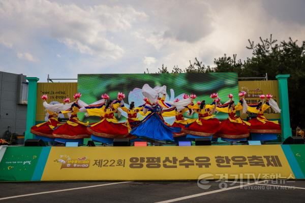 [크기변환]4.산수유축제(축제장 무대).jpg