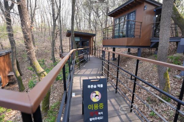 [크기변환]1-7. 수원시 도서관에는 ‘골라 보는 재미’가 있다!.jpg