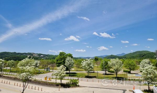 [크기변환]사진1(쥐똥나무 식재).jpg