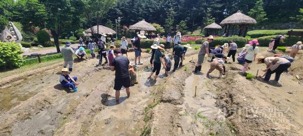 [크기변환]4. 지난해 용인특례시 농촌테마파크에서 모내기 체험 진행 모습.jpg