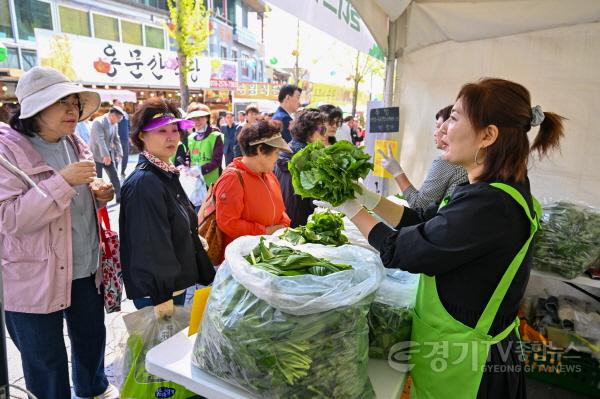 [크기변환]4. 건강한 봄의 맛 양평 산나물.jpg
