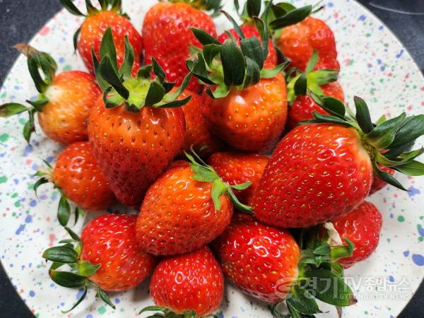 [크기변환]20－20－115+계통+(2) (1).jpg