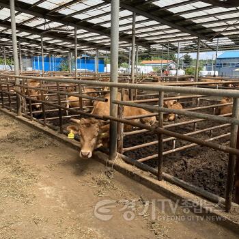 [크기변환]1. 용인특례시는 2025 저탄소 농업 프로그램 시범사업 참여 축산농가를 모집중에 있다.jpg