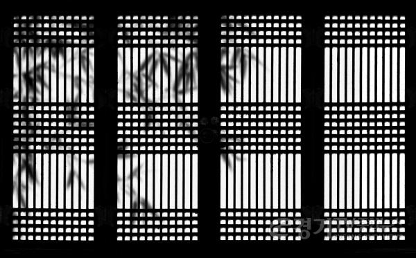 [크기변환]01-여주시, 여주시 미술관 「아트뮤지엄 려」 2025 공모전시 - 김준기 사진전 죽2.jpg