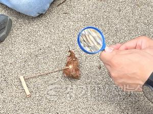 [크기변환]예술가방 진행 부분 사진.jpg