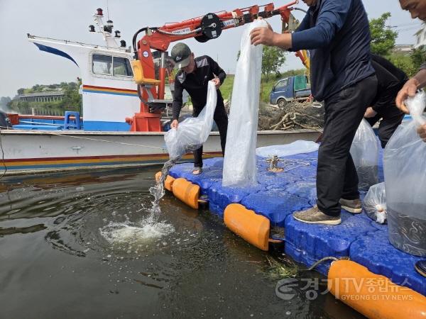 [크기변환]6-1 평택시 뱀장어 치어 8만 9천 마리 방류.jpg