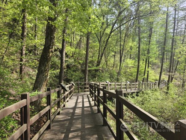 [크기변환]1-2. 용인특례시는 처인구 왕산리 산93번지 인근 태교숲길의 파손된 시설물을 보수했다.jpg