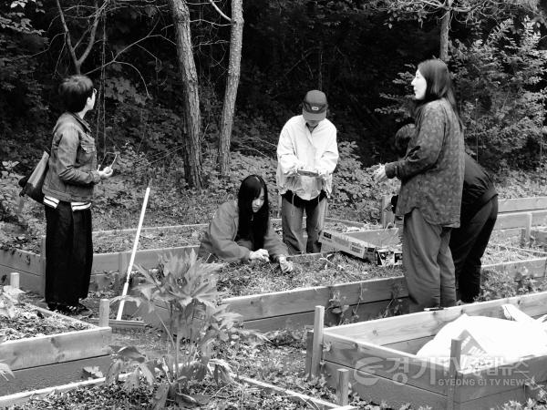 [크기변환]사진1_가평_산으로 가는 길.jpg