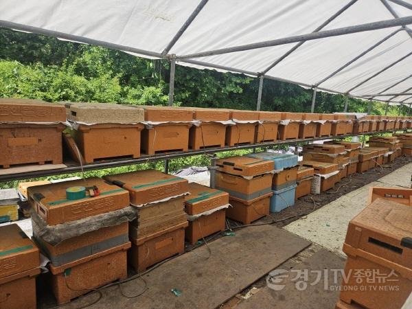 [크기변환]1. 용인특례시 스마트 벌통을 설치한 양봉농가 사진.jpg