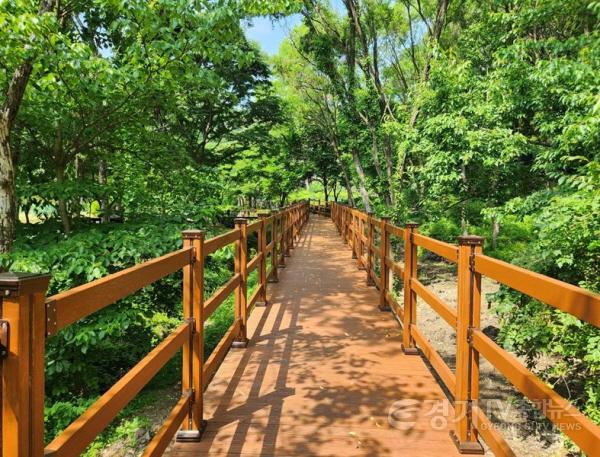 [크기변환]4-2. 용인자연휴양림 숲속쉼터 무장애 잔책로 설치 모습.JPG