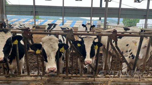 [크기변환]2. 용인특례시 축산 농가 모습.jpg