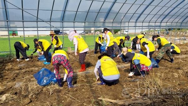 [크기변환]수원 자원봉사자, 가평 수해 농가 복구  (2).jpg