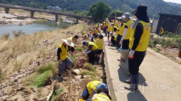 [크기변환]수원 자원봉사자, 가평 수해 농가 복구 .jpg