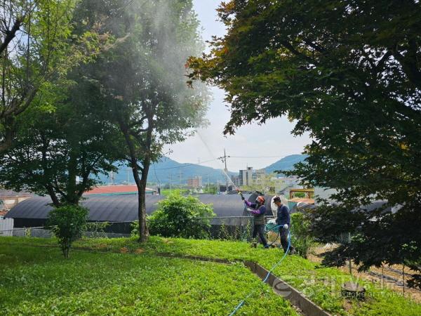 [크기변환]3-2. 해충 방제 작업 모습.jpg