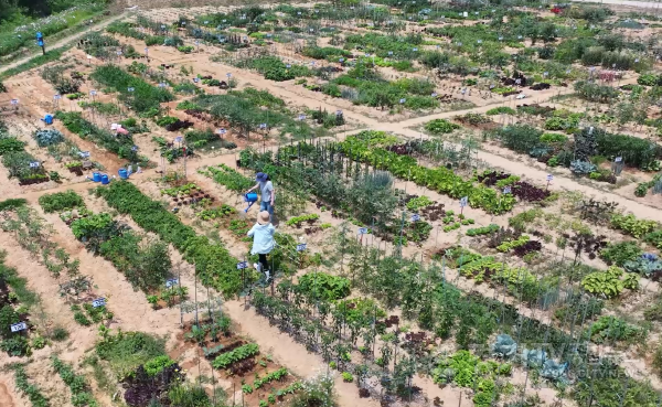 [크기변환]3-2. 용인특례시 공세동 용인시민농장 전경.png