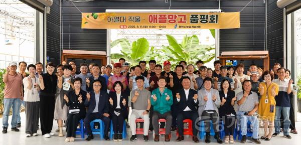 [크기변환]9-1. 용인특례시는 11일 농업기술센터 내 아열대작물 과학영농시설에서 애플망고 품평회를 열었다.jpg