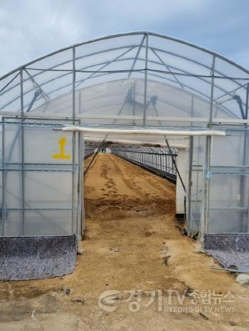 [크기변환]광주시, 토마토 농가 대상 2026년 시설하우스(객토) 지원사업 수요 조사 실시 (2).jpeg