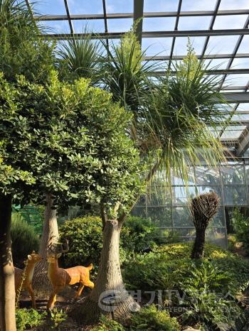 [크기변환]3-2 평택시자연테마식물원 20년 된 덕구리난 꽃 피워.jpg