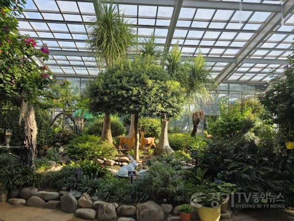 [크기변환]3-1 평택시자연테마식물원 20년 된 덕구리난 꽃 피워.jpg