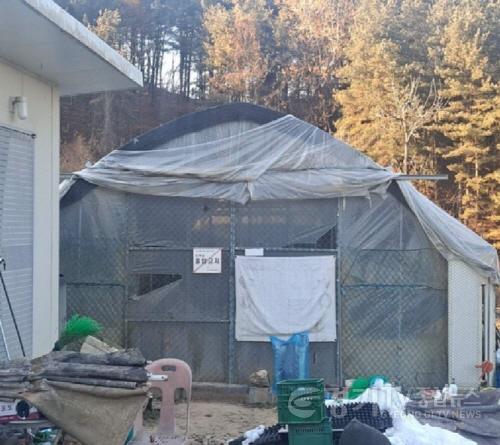 [크기변환]01-여주시, 무허가·미등록 축사 자진신고 기간 운영 알림(1).jpg