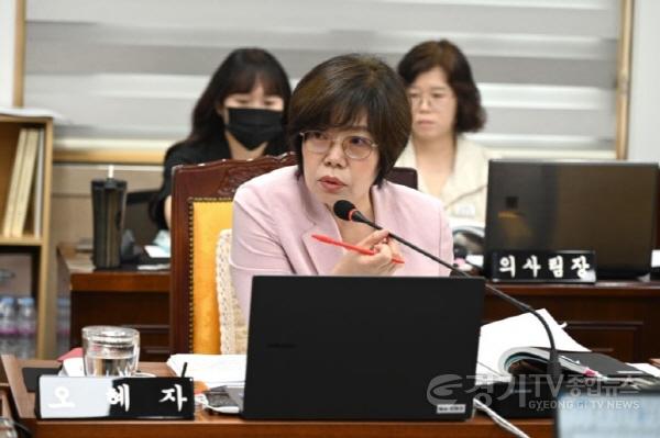 [크기변환]제310회 임시회 조례특위1.jpg