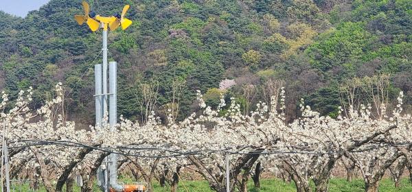 [크기변환]1. 이천시 2026년 지역전략작목 육성 공모사업 선정.jpg