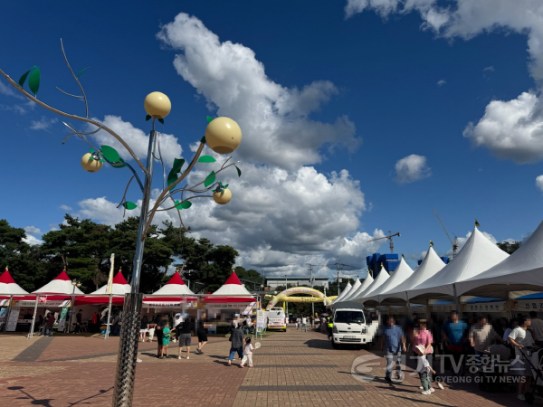 [크기변환]이천시 제29회 햇사레 장호원복숭아축제 성황리에 마쳐2.png