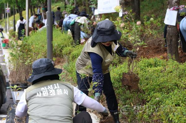 [크기변환]14-4. 23일 시민참여형 수국 식재 행사에서 시민들이 목수국을 심고 있다.jpg