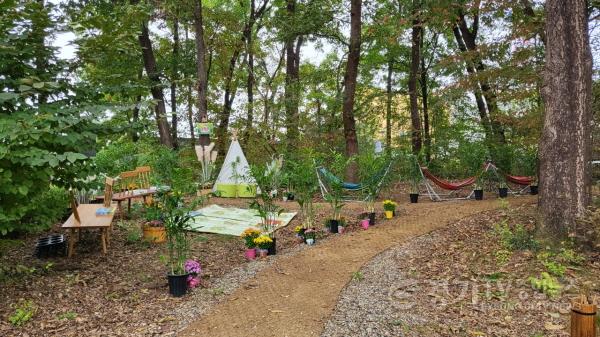 [크기변환]01-전 세대가 함께 걷는 배움숲길, 평생학습 축제에서 즐기자(2).jpg