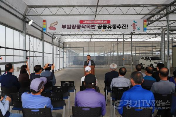 [크기변환]2. 이천 부발땅콩 첫 공동 유통 개시 농가 소득 안정 지역경제 활력 기대2.jpg
