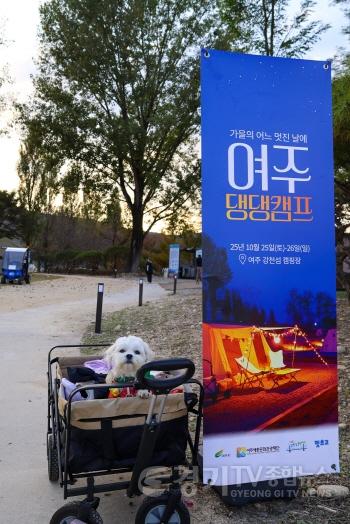[크기변환](요청)여주세종문화관광재단-반려동물 동반 1박2일 댕댕캠프 운영.jpg