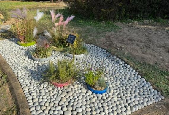 [크기변환]사진2-1)2025년 수원시 시민정원 경연대회 대상은 ‘완뚝원정대’의 ‘리플 가든’(완뚝원정대 리플 가든).jpg