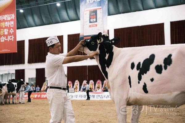 [크기변환]01-여주시, 2025 한국 홀스타인 품평회에서 8개 부문 수상 쾌거(1).jpg