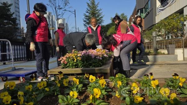 [크기변환]8-1. 화성특례시 동탄3동 주민들이 청사 및 도로변에 비올라를 식재하고 있다.jpg