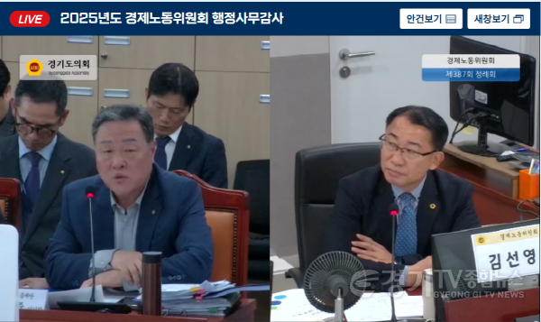 [크기변환]251118 김선영 의원, 추가 행정사무감사에서 소상공인단체 보조금·민간위탁 사업비 ‘통 정산’ 관행 질타(2).jpg