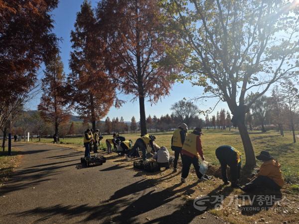 [크기변환]05-2 두물머리 봄꽃 구근 심기.jpeg
