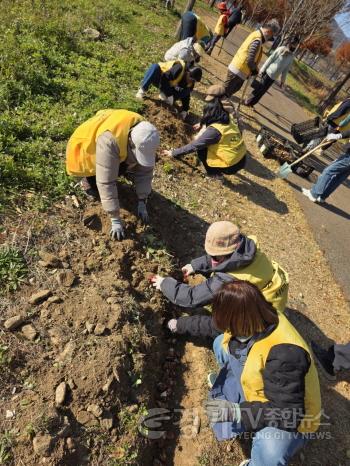 [크기변환]05-3 두물머리 봄꽃 구근 심기.jpeg