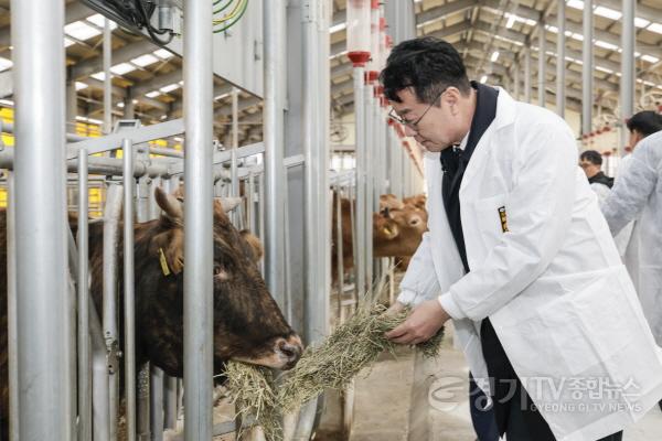[크기변환]5-2. 정명근 화성특례시장이 에코팜랜드 현장에서 축산R&D단지 내 우사를 점검하고 있다.jpg