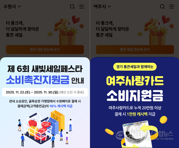 [크기변환]251128_[사진자료] 통큰 세일 기간 동안 일부 지차체가 자체 프로모션을 진행하고 있다.PNG